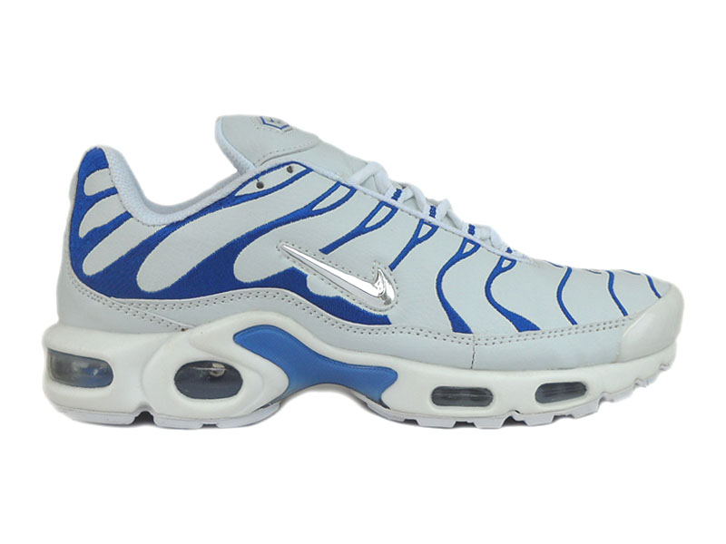 tn requin blanche et bleu